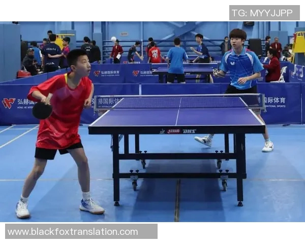 南京乒乓球队的控制策略与技术深度解析探索乒乓球运动的魅力与挑战 南京乒乓球队的控制策略与技术深度解析探索乒乓球运动的魅力与挑战