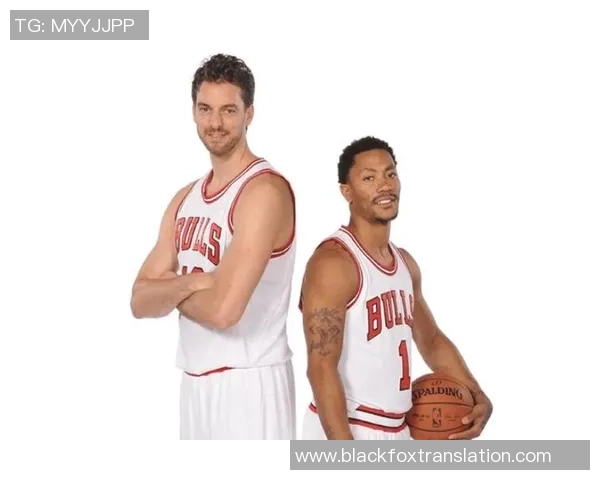 篮球界中的足球明星有哪些他们的成就与影响力分析 篮球界中的足球明星有哪些他们的成就与影响力分析