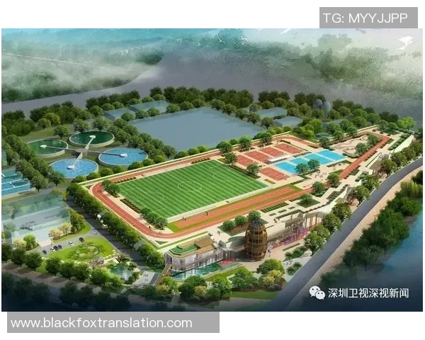 重磅专题：深圳乒乓球队的边路渗透革新