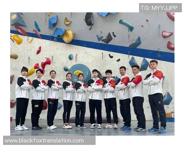 数据分析：武汉攀岩队的速度表现