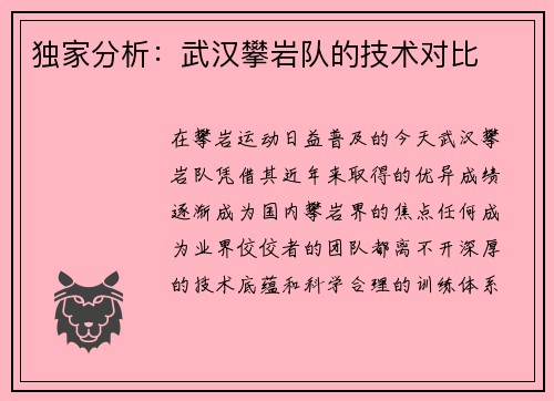 独家分析：武汉攀岩队的技术对比