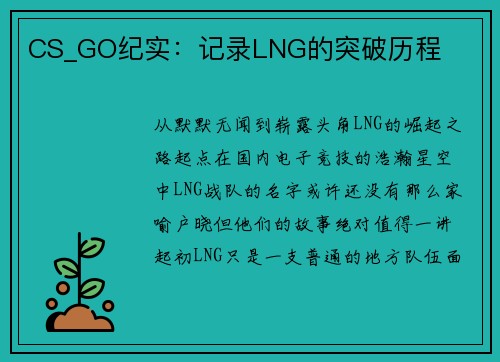 CS_GO纪实：记录LNG的突破历程